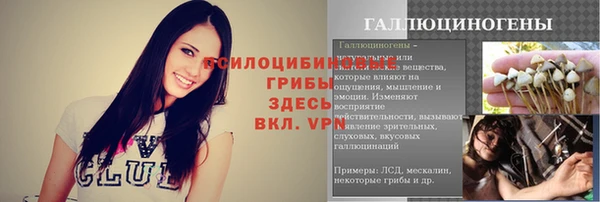 первитин Арсеньев