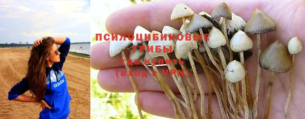 марки lsd Аркадак