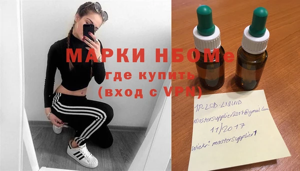 дживик Ельня