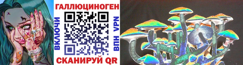 mega зеркало  купить закладку  Валдай  Галлюциногенные грибы Psilocybine cubensis 